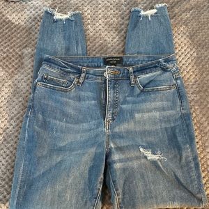 Banana Republic Curvy Skinny Jean